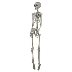 Esqueleto 160 cms halloween-El Informal Santander