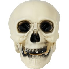 Calavera 20 cm craneo decoracion halloween