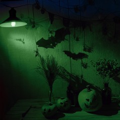 Bombilla verde 5 w para decoracion halloween-El Informal Halloween
