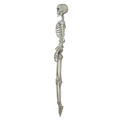 Esqueleto 160 cms halloween-El Informal Santander
