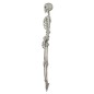 Esqueleto 160 cms halloween