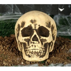 Calavera 22 cm craneo Foam decoracion halloween