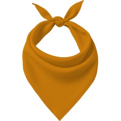 Pañuelo naranja adulto-El Informal Santander