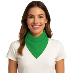 Pañuelo verde adulto