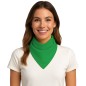 Pañuelo verde adulto