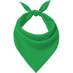 Pañuelo verde adulto-El Informal Santander