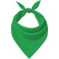 Pañuelo verde adulto
