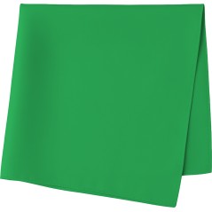 Pañuelo verde adulto-El Informal Santander