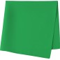 Pañuelo verde adulto