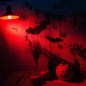 Bombilla Roja 5 w para decoracion halloween