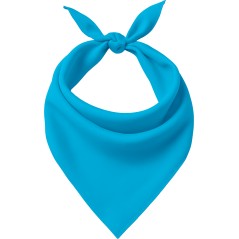 Pañuelo azul adulto-El Informal Santander
