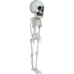 DISFRAZ CALABAZA PELUCHE TALLAS AÑOS HALLOWEEN NIÑO-El Informal