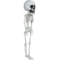 DISFRAZ CALABAZA PELUCHE TALLAS AÑOS HALLOWEEN NIÑO