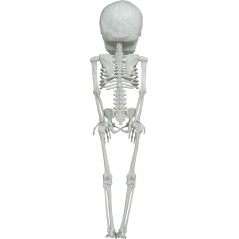 DISFRAZ CALABAZA PELUCHE TALLAS AÑOS HALLOWEEN NIÑO-El Informal