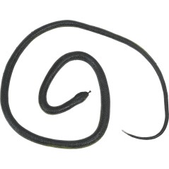 Serpiente con hilo de nylon y pinza broma-El Informal Santander