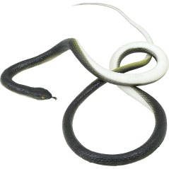Serpiente con hilo de nylon y pinza broma-El Informal Santander