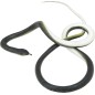 Serpiente con hilo de nylon y pinza broma