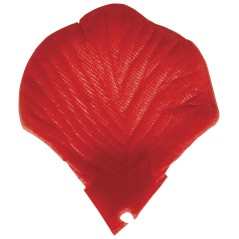 Cañon petalos de rosa rojos  50 cm-El Informal Santander