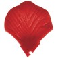 Cañon petalos de rosa rojos  50 cm