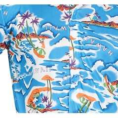Camisa turista guiri hawaiano talla L 52-54-El Informal Santander