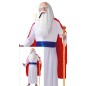 Disfraz druida Panoramix para hombre tallas