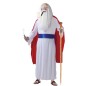Disfraz druida Panoramix para hombre tallas