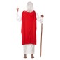 Disfraz druida Panoramix para hombre tallas