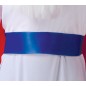 Disfraz druida Panoramix para hombre tallas