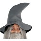 Disfraz mago gris talla m-l adulto