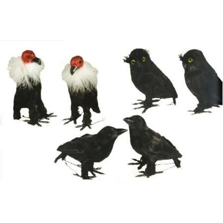 Pajaros halloween surtidos 14 cm unidad 19300 GUIRCA