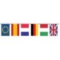 Bandera plastico internacional 20x30    5 mt