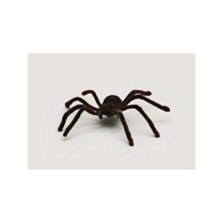 Tarantula clavo grande 76B 8435082715184 SAN ROMA