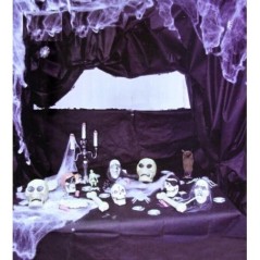 Decoracion-negra-para-halloween-19630-8434077196304