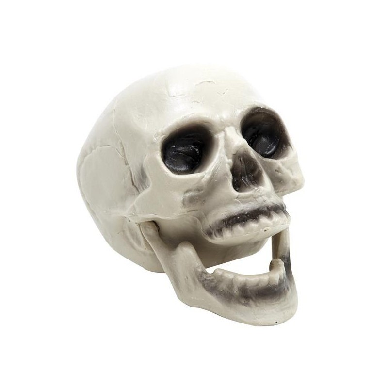 Craneo calavera con mandibula movil halloween