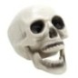 Craneo calavera con mandibula movil halloween