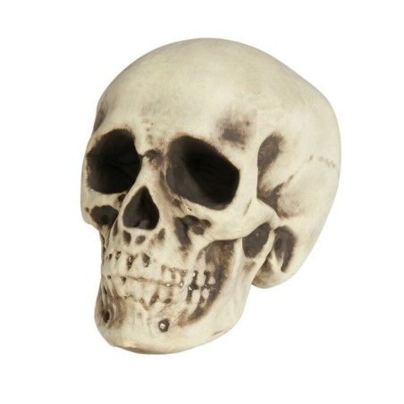 calavera o craneo humano 20 cm foam 24956 8434077249567