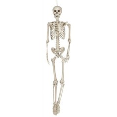 esqueleto 160 cms halloween 26044 8434077260449