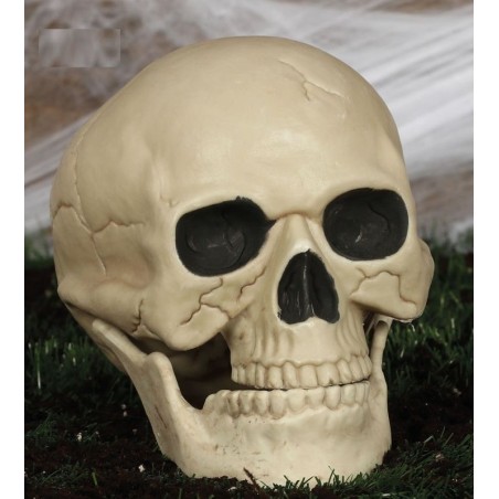 calavera 20 cm craneo decoracion halloween 26174 8434077261743