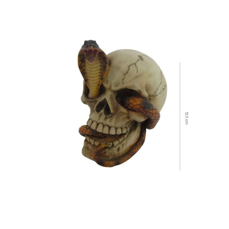 Craneo o calavera con serpiente 12,5 cm