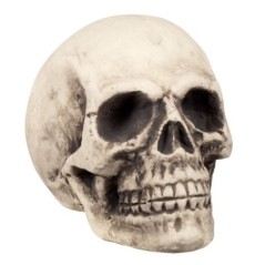 calavera craneo 27x27x38 cm deccoracion halloween 71989 8712026719898