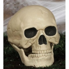 Calavera 20 cm craneo decoracion halloween 8434077261743 26174