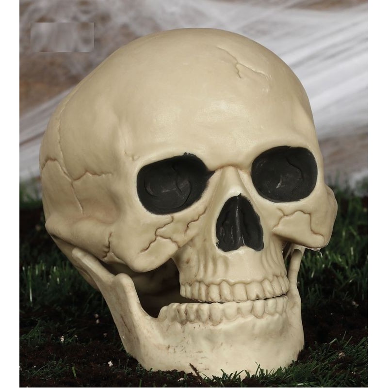 Calavera 20 cm craneo decoracion halloween