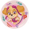 Cumpleaños Patrulla Canina rosa